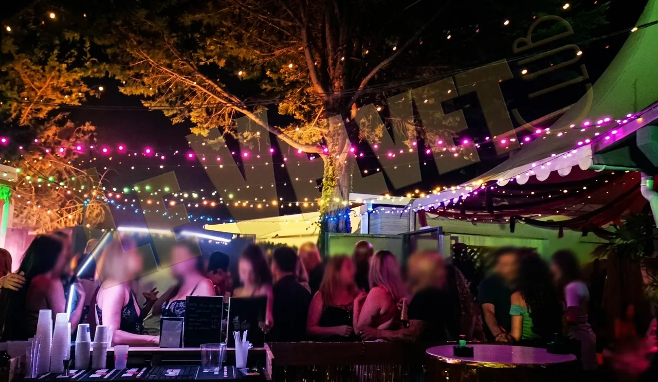 La terrasse du Velvet Club un soir d'été, sous un arbre et des guirlandes lumineuses, avec son bar extérieur